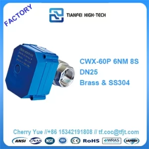 1 motorized ball valve