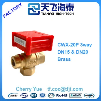 3 Valvola motorizzata della porta