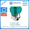 tuya water valve