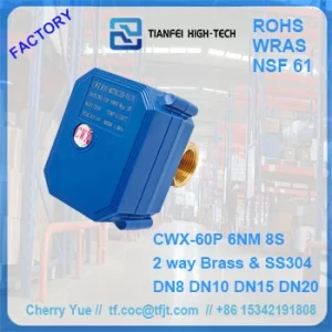 1 motorized ball valve